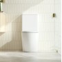 Diana Quiet flushing technology Rimless + Tornado Toilet Suite